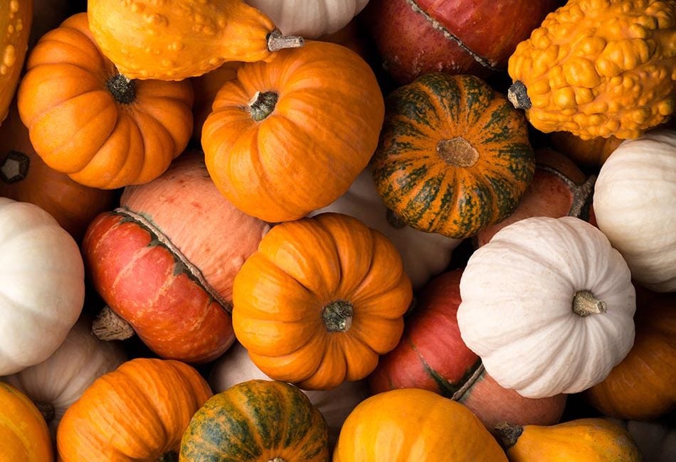 Pumpkins background