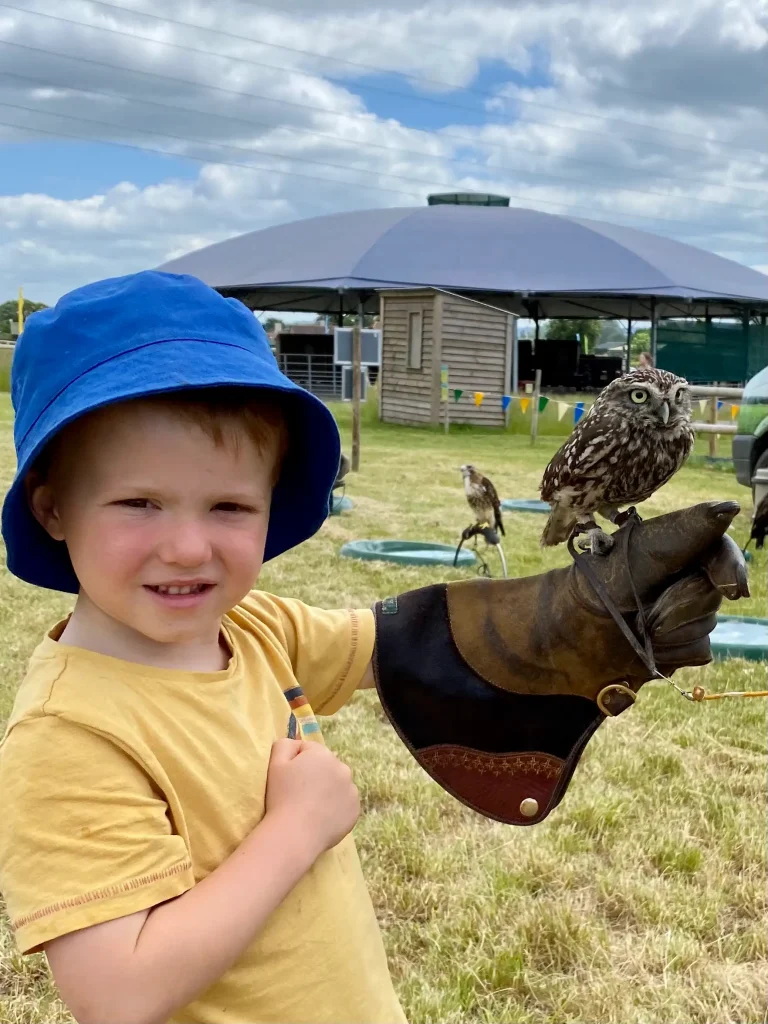 Boy and bird