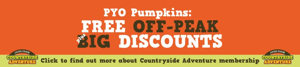 Centralised PYO Pumpkins Big Discounts.webp