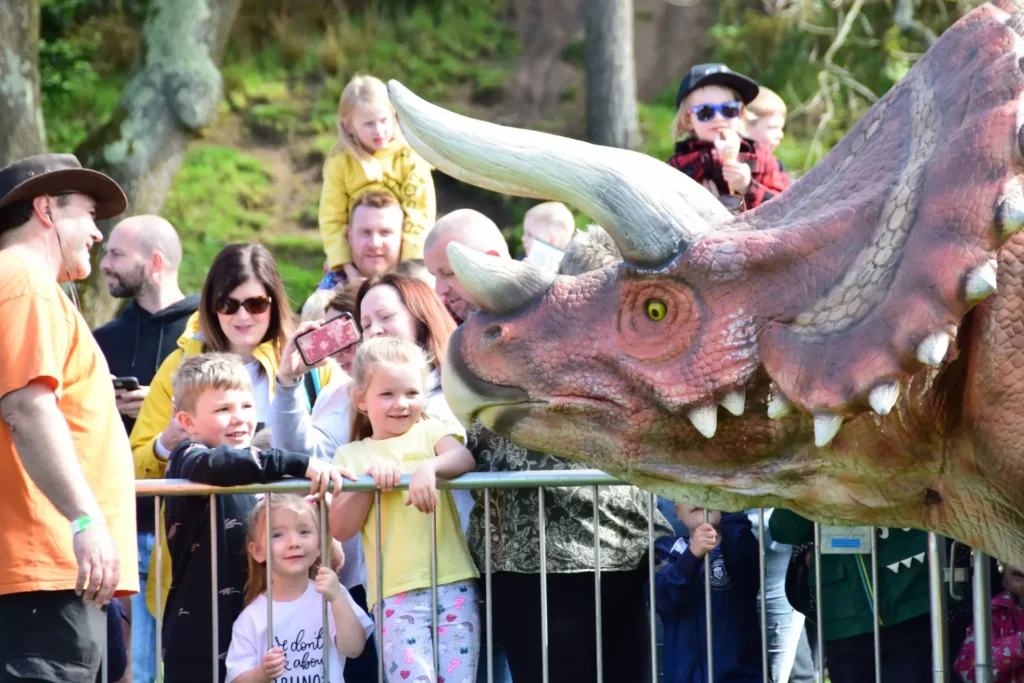 Triceratops with crowd