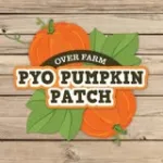 Over Farm Pumpkins