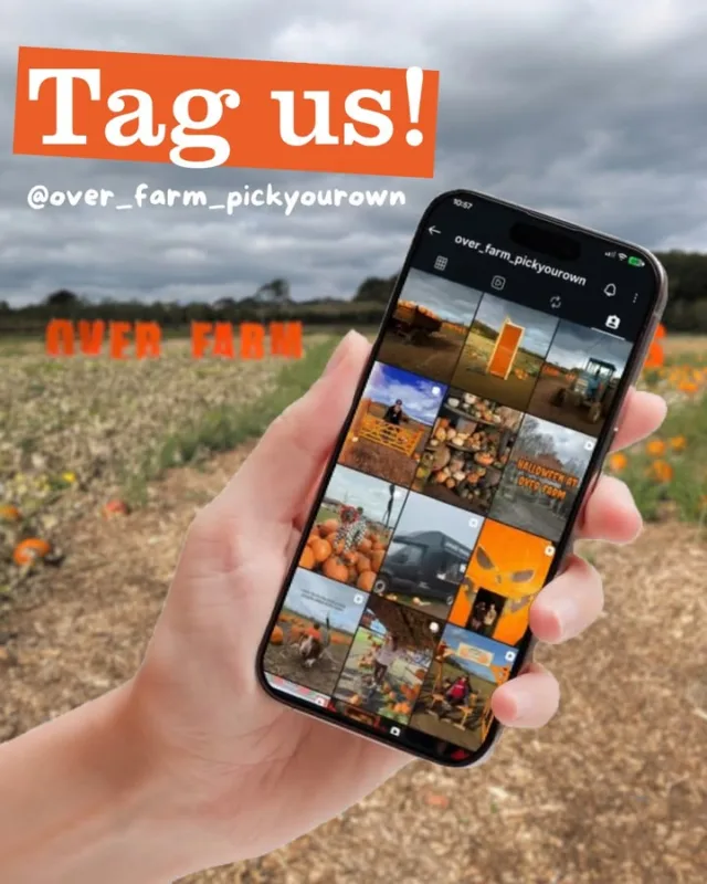 Tag us in your pumpkin patch posts! 🎃

Tomorrow, we finally open the gates and let you into the pumpkin patch for the first time in 2026!

So, before you head down the rows, pick your pumpkins and start snapping, we have one little request...

Tag us in your posts and stories! 👀

We’ll be keeping a close eye on your pumpkin patch adventures throughout October, sharing as many stories as we can and accepting as many collaborator posts as possible.

We can’t wait to see the pumpkin patch, the pumpkins you pick and everything else happening at Over Farm through your eyes. 😍