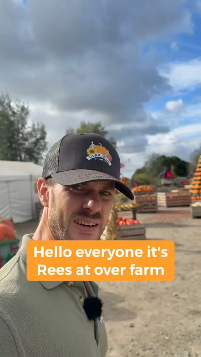 Sneak peak at the pumpkin arena before tomorrows opening 👀🎃

Its looking fab and the weekends weather looks to be faaaar better than last year 😮‍💨🥳

We can't wait to see you here and finally open the patch for 2026!

FOMO?!
Find out more and book online using the link below, or take a look at the link in our bio:
https://f.mtr.cool/f3l1wq2yxa

📍We're at Over Farm, Gloucester, GL2 8DB 

💰Entry is from £2.99 and pumpkins start at £1.50